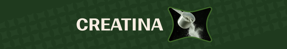 Banner de categoria